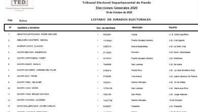 Ver la lista de jurados electorales de los 9 departamentos de Bolivia elecciones 2025